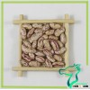 Red Beans With White Speckles, Light Speckeld Sugar Beans 2015