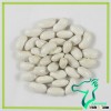 White Kidney Beans Spanish Type,Beans Size 180-200,Beans Size 200-220