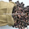 Chinese New Crop Black Speckled Kidney Beans scientific name of the bean