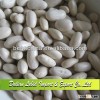 Chinese White Beans New Crop, Baishake, Price of White Kidney Beans