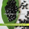 Wholesale New Crop Small Black Kidney Beans, Black Beans Price