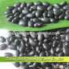 Supply Chinese Small Black Kidney Beans, Black Beans Price Wholesale