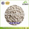 Long Shape Kidney Beans Spanish Type White Kidney Beans