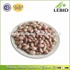 Cranberry Beans Light Speckled Kidney Beans Round Shape