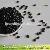 Agriculture Product Black Kidney Beans With White Kernel