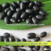 Supply Chinese Small Black Kidney beans, Black Turtle Beans For Sale 2013 Crop