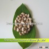 Light Speckled Kidney Beans, American Round Shape, Speckled Beans Price