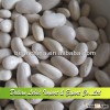 Provide New Crop White Kidney Beans Baishake Type Product