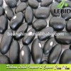 Small kidney black beans/black beans/new crop black beans