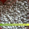 New Crop, White Beans Yunna Origin, Size is about 45-55grains/100g