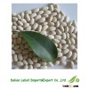Good Quality Dry Garden Japanese Beans For Sale 2013 Crop