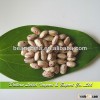 Light Speckled Kidney Beans, American Round Shape, Beans for Sale