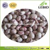 Low Admixture Light Speckled Kidney Beans Round Shape(Xinjiang Origin)