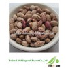 2013 Crop Export Dry Kidney Beans Wholesale For Cooking