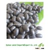 Turtle Black Kidney Beans Good Sale New Arrival Chinese