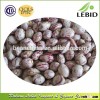 New Crop Reasonable Price Kidney Beans Xinjiang Origin