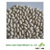 Export Broad White Kidney Dry Beans For Sale 2013 Crop