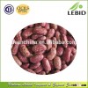 2014 Red Speckled Kidney Beans From China Best Price Hot Sale