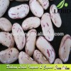 2014 Crop Chinese Light Speckled Kidney Bean long shape/pulse
