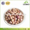 Xinjiang Origin Round Shape Pinto Beans Light Speckled Kidney Beans
