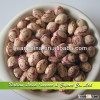 Wholesale New Crop Light Speckled Kidney Beans,High Quality Beans Xinjiang Origin