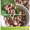 High Quality Light Speckled Kidney Beans Round Shape,YIAN Origin