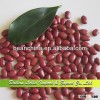 Small Red Kidney Beans, Crop 2013, Good Quality Red Beans