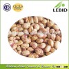 High Purity Xinjiang Origin Light Speckled Kidney Beans
