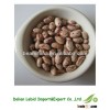 High Quality Wholesale Light Speckled Kidney Beans Round Shape