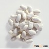 New crop lima beans white kidney bean for sale baby lima bean