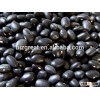 New crop kidney beans, black beans with high quality for sale