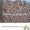 Light Speckled Kidney Beans, Price for Sugar Beans