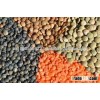 Lentils (Green/Red/Black/Brown/Split)