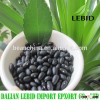 Black kidney beans/small black beans/black beans