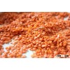 2016 new High Quality Whole And Split Lentils/Red Lentils/Green Lentils