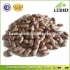 Grade A light speckled kidney beans (Year 2014Crop)