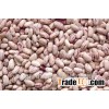 Best Price New Crop Light Speckled Kidney Beans With Good Quality