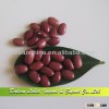 Supply Small Red Kidney Beans, Crop 2013, New Crop