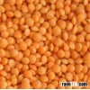Green Lentils HPS Quality Dry Green / Red Lentils