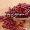 Dark Red Kidney Bean Market Price