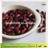 Dry Dark Red Kidney Beans/Long Red Wholesale Beans