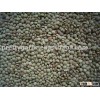 2012 crop chinese green lentils