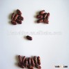 Purple Kidney Beans From China, Dried Sugar Beans