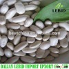 High quality chinese small size white kidney beans