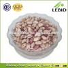 Lights speckled beans oval shape or round shape