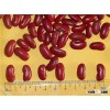 Buy dark red kidney beans with low price