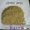 Chinese green lentil