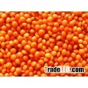 Export Quality Red & Green Lentils