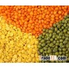 High Quality Lentiles/Red Lentiles/Green Lentiles