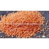 Red Lentils for sale